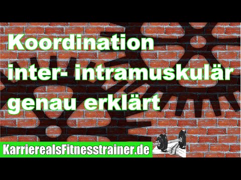 What you need to know about inter- and intramuscular coordination | B-License exam material