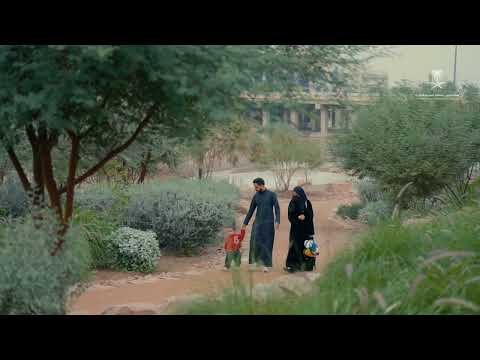 الحياة في وادي العقيق بعد الأمطار