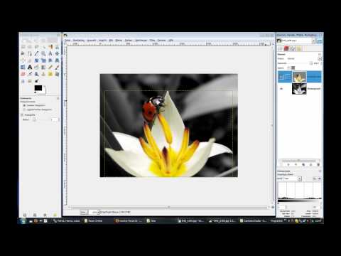 [GER] Gimp Tutorial - Fokus erhöhen