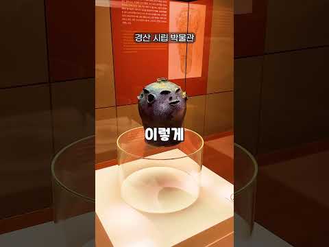 (최우수) 숨겨진 당일치기 감성 여행지 경산 BEST6