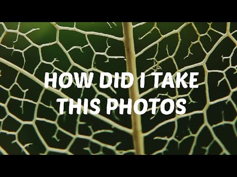 Macro photography tricks #macrophotography #mobilephotography hacks simple #macrolens #tutorials