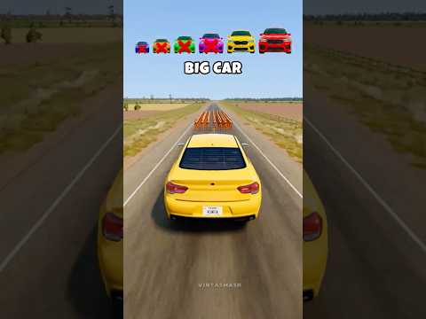 Big & Small Cars vs 100 Dummies