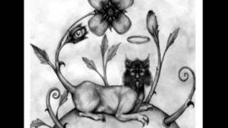 The Gray Field Recordings - Wait In Silence