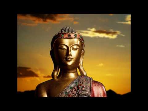 'Jungle thickets' Original Teaching of the Buddha Sutra 17