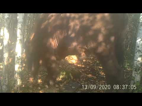 Biebrzański Park Narodowy