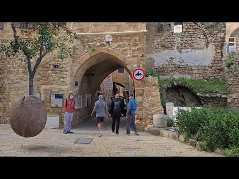 When was the last time you saw a flying orange tree? The story of the last Jaffa oranges tree