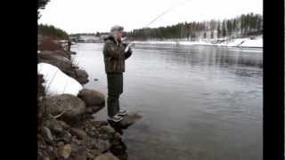 Fishing sea trout, River Luleå, Swedish Lapland