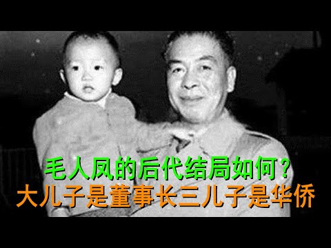毛人鳳後代