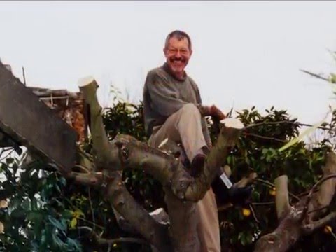 Bob Cox   To Where You Are