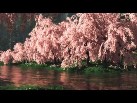 Tommy Johnson ft. Nanje Nowack - Burn The Sun (Radio Edit)