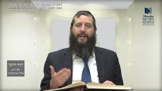 הדף היומי מסכת סוכה דף נא