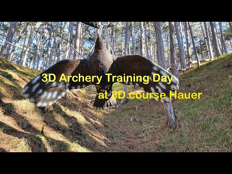 3D Archery Training Day at Hauer Hill