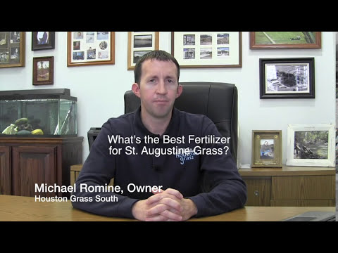 download lagu mp3 mp4 When To Fertilize Lawn In Houston, download lagu When To Fertilize Lawn In Houston gratis, unduh video klip When To Fertilize Lawn In Houston