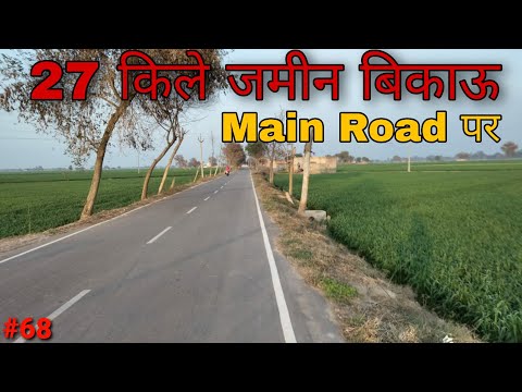 Agricultre Land For Sale | Zameen For Sale | Land For Sale || जिमींदार Mehkma #68