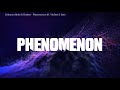 Unknown Brain & Hoober - Phenomenon (ft. VinDon & Dax) [Lyric Video]