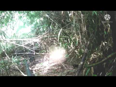 Good Job,My Squad...# ( V13 )