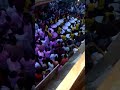 A 1 Band Group Rgp Ganesh Visarjan