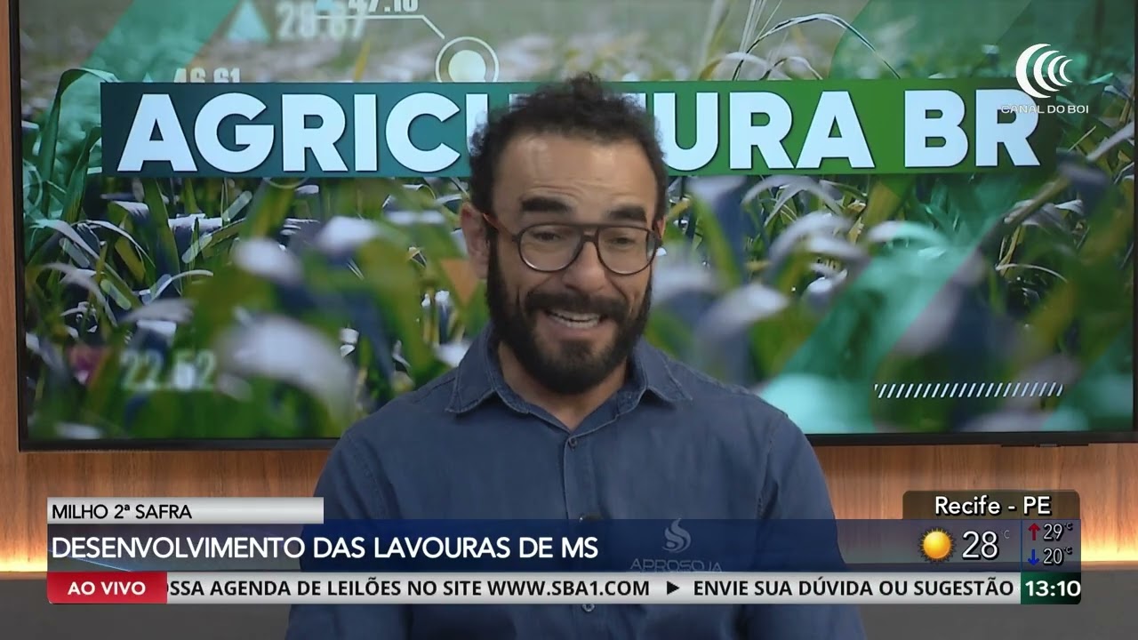 Milho e soja: safra exige cautela em Mato Grosso do Sul