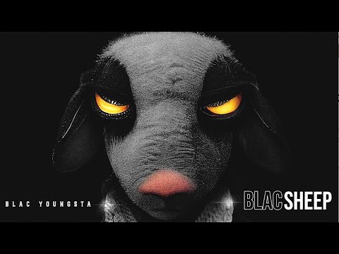 Blac Youngsta - Rich Pleasure (Official Visualizer)