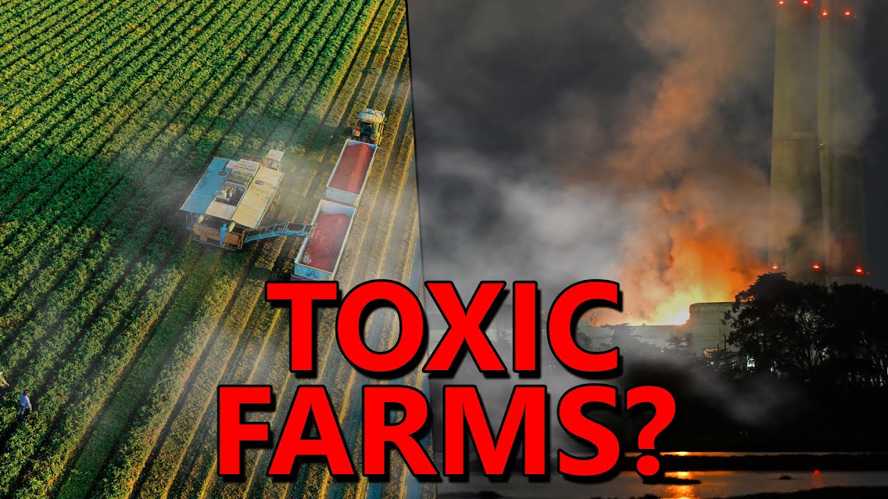 Farmers WARN of TOXIC VEGETABLES After Massive Lithium Fire Next to "Salad Bowl of America"