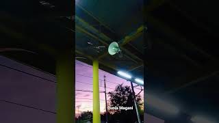 Download lagu Bel Stasiun Kereta!! Suaranya Khas. #shorts mp3 Download lagu Bel Stasiun Kereta!! Suaranya Khas. #shorts mp3