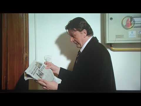 Kome smeta revizija privatizacije? - Enes iz stranke (Lud zbunjen normalan)