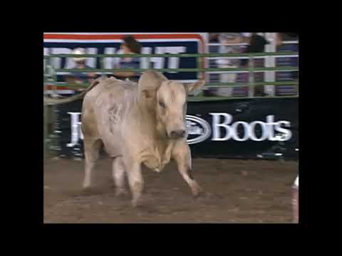 Popcorn bucks Art Watson - 94 PBR Paso Robles