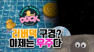수영장 오리 구경? 이제는 돌멩이가 되어보자! VR힐링 게임 추천 : Rock Life, Wakamarina Valley, Get Lost In Nature With Luke