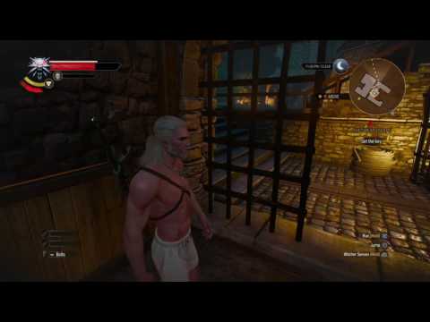 The Witcher 3 - Death March is too Easy! Part #98: Even more Guards