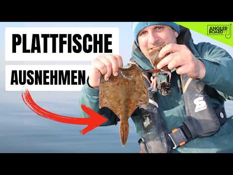 Gutting flatfish | Butchering plaice, flounder, and dab properly | Preparing flatfish