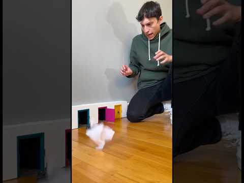 Sem pegadinha! Você não vai acreditar no que tem atrás dessas mini portas...🚪 👀