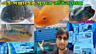 এই সপ্তাহের সুন্দর রঙিন মাছ | Aquarium Fish Haat Shrirampur |Aquarium Fish Accessories|Aquarium Fish