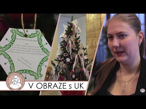 Univerzitný stromček prianí - V OBRAZE s Univerzitou Komenského