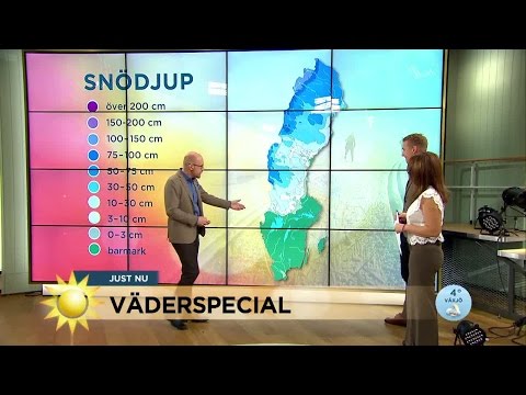 Meteorologen: ”Klass 1-varning i flera län” - Nyhetsmorgon (TV4)