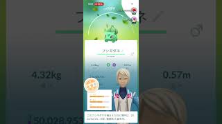 ２６年度　毎日貰える御三家のみ孵化する✨１㌔青たまごを１年間わり続けたら色違い&１００％がどれだけ産まれるかを検証実験（フシギダネ）：１５５個目：累計②③②個　　　　　　　　　　　　撮影日（６／４）