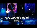 Meri Zindagi Hai Tu Lofi Slowed Reverb Jubin Nautiyal Neeti Mohan Feel The Song