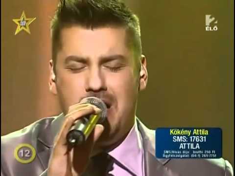 MegaSztár 5.Whitney Houston - I Have Nothing (Kökény Attila)