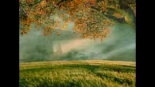 Sara Smile - Nils  (Hall & Oates)