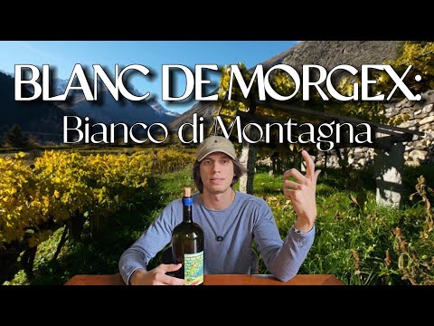 BLANC DE MORGEX: Lo conoscevi ? 🥂👀