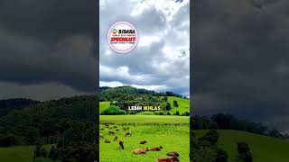 Download lagu Nasihat Ulama Besar Tentang Sombong: Kata-Kata Sufyān bin ‘Uyainah Yang Menggugah Jiwa mp3 Download lagu Nasihat Ulama Besar Tentang Sombong: Kata-Kata Sufyān bin ‘Uyainah Yang Menggugah Jiwa mp3