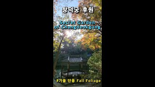 창덕궁 후원 가을 단풍 자유관람예약 및 후기 (Korean Attractions: Fall Foliage of Secret Garden of Changdeokgung)
