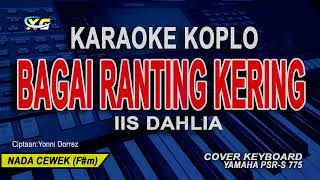 Download lagu IIS DAHLIA BAGAI RANTING YANG KERING KARAOKE KOPLO NADA WANITA mp3 Download lagu IIS DAHLIA BAGAI RANTING YANG KERING KARAOKE KOPLO NADA WANITA mp3