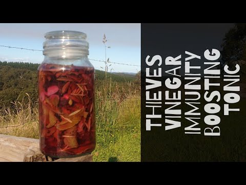 Thieves Vinegar   Immunity Boosting Tonic