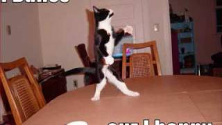 Def Leppard- C&#39;mon C&#39;mon