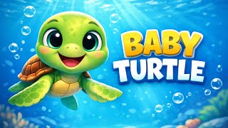 Learning about Turtles. Fun Facts about Turtles for Kids ✨ 🐢 #forkids #learningforkids #learning