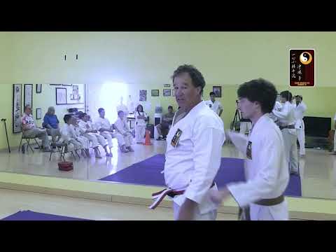 Breaklocks: Rear Strangle, Overhead Throw – Shihan Robert Cusumano