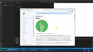 Dendron Getting Started - An alternative note taking app for PKM / To Do / Journal