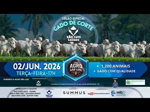 LEILÃO ESPECIAL GADO DE CORTE DURANTE AGRO SÃO LUIZ, 2 DE JUNHO TERÇA-FEIRA 17:30