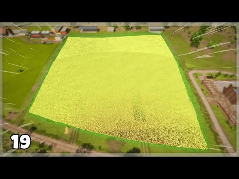 I Combined 3 Fields Into ONE Giant Field | FS25 Mega Farm Survival Ep 19