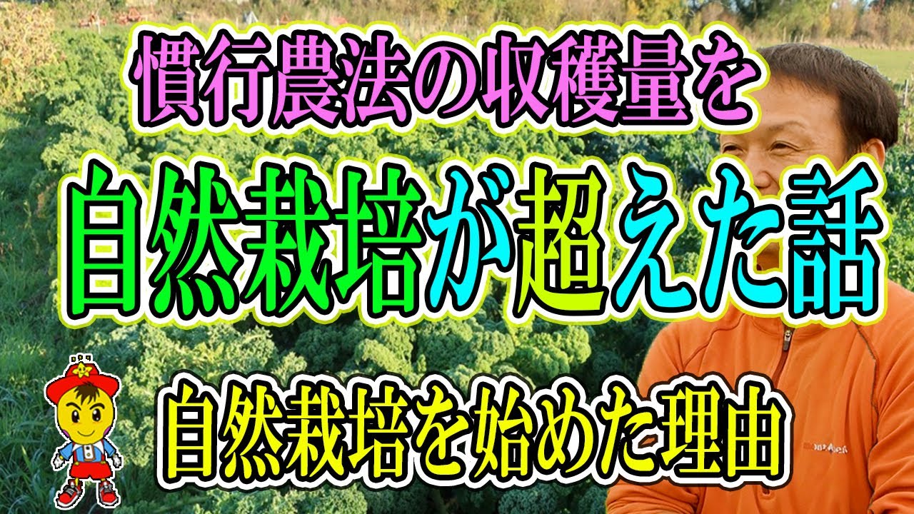 自然栽培を始めたきっかけと20年の歩み|心と作物のつながりと自然の力